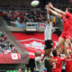 World Rugby 7s