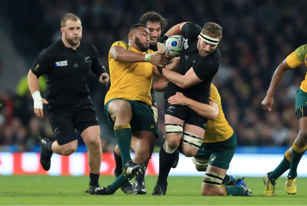 Wallabies All Blacks Bledisloe Cup 2024 Fixtures & Draw