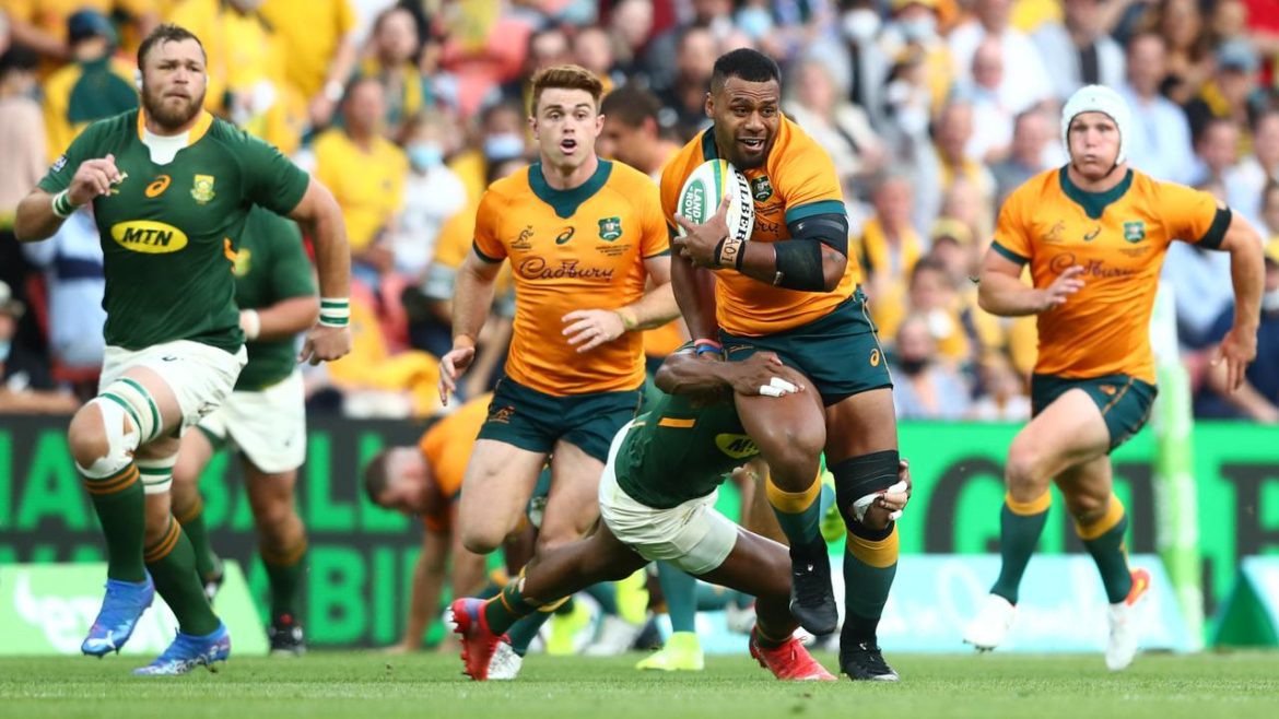 Boks Wallabies 2024 South Africa Begins Against Australia In Loftus