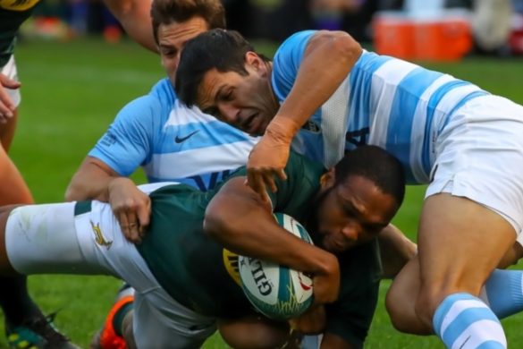 argentina rugby