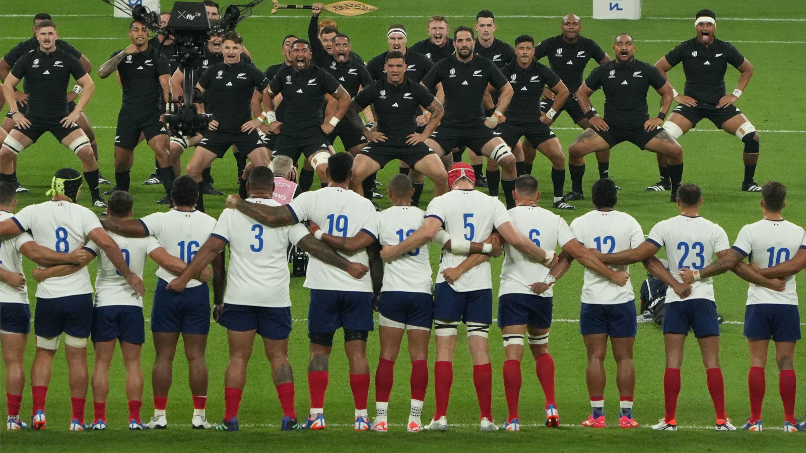 New Zealand vs France