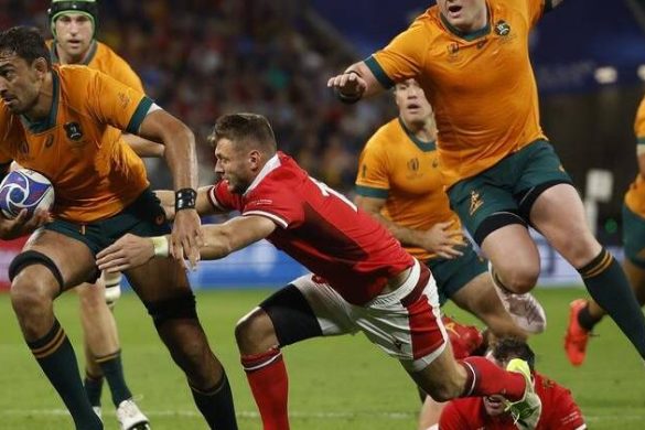 Wallabies V Wales Rugby